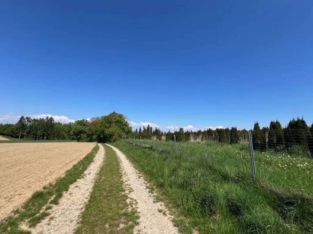 Immobilie kaufen in Wels-Land – 153 674 m² – Bild 3 von 3