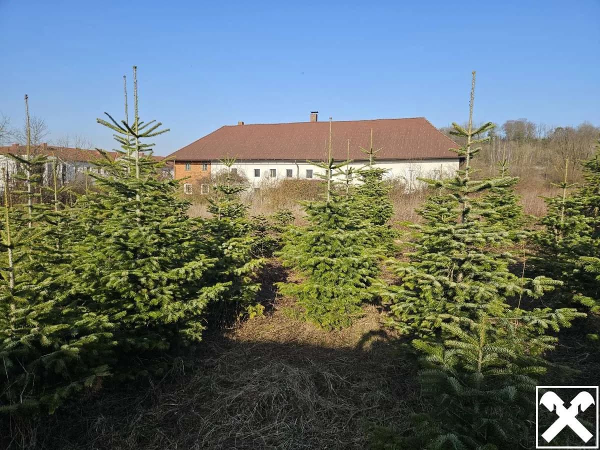 Grundstück kaufen in Linz – 15 881 m², € 990.000 – Bild 5 von 18