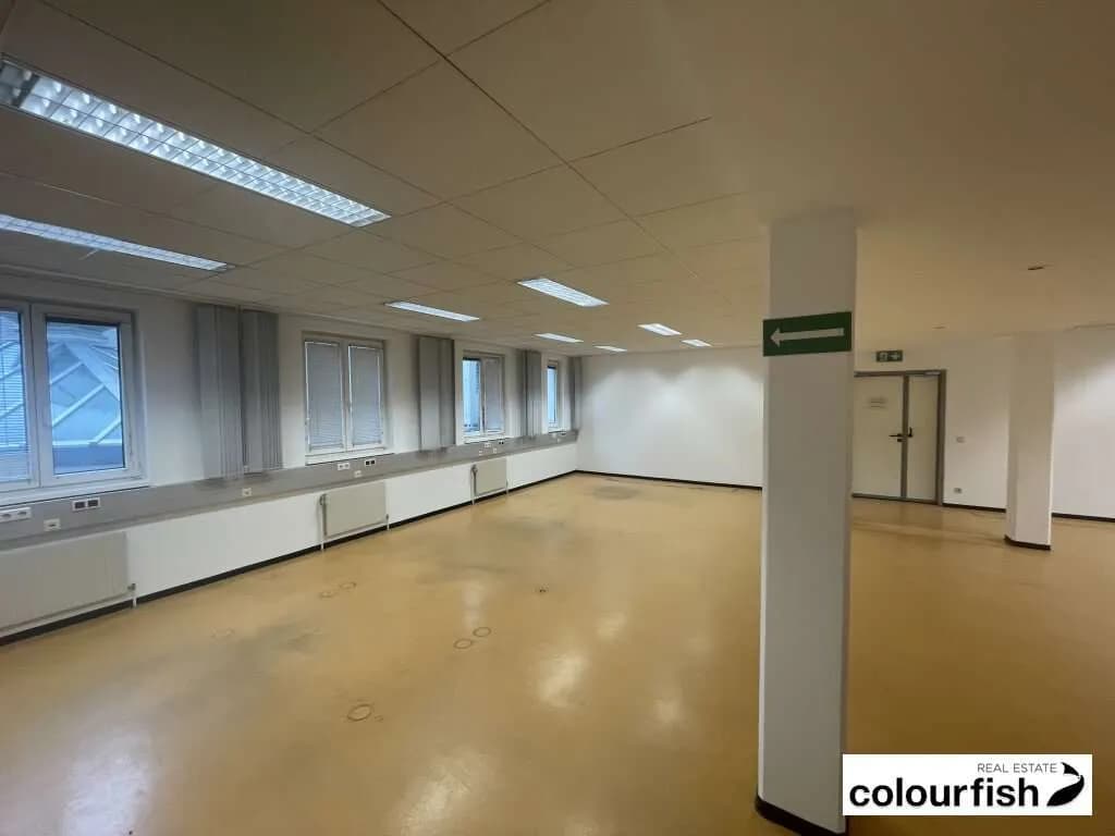 Gewerbeimmobilie mieten in Wien – 468 m², € 6.047 – Bild 11 von 16