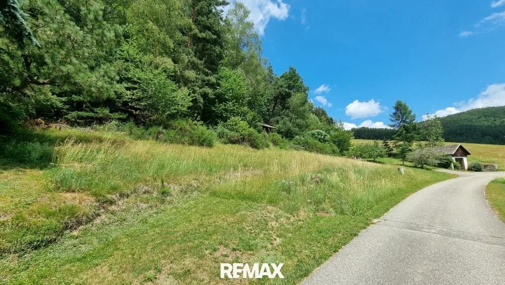 Grundstück kaufen in Freistadt – 2 388 m², € 70.000 – Bild 3 von 11