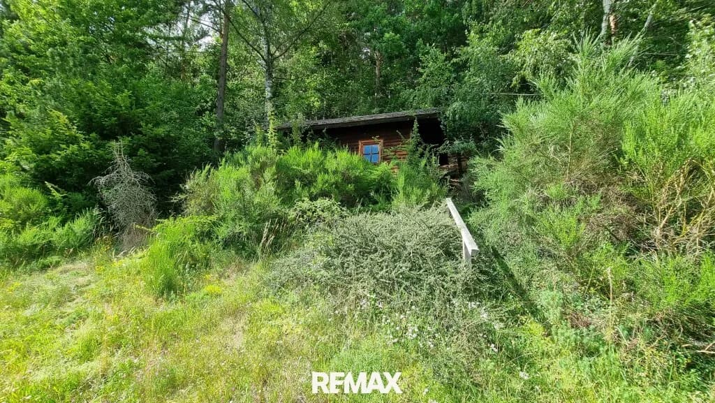 Grundstück kaufen in Freistadt – 2 388 m², € 70.000 – Bild 7 von 11