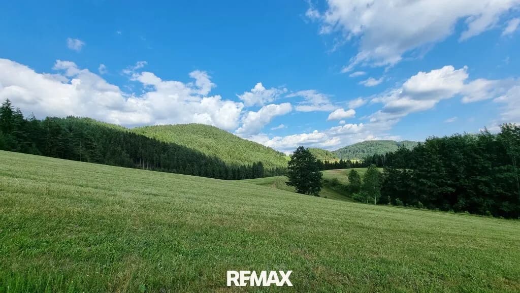 Grundstück kaufen in Freistadt – 2 388 m², € 70.000 – Bild 10 von 11