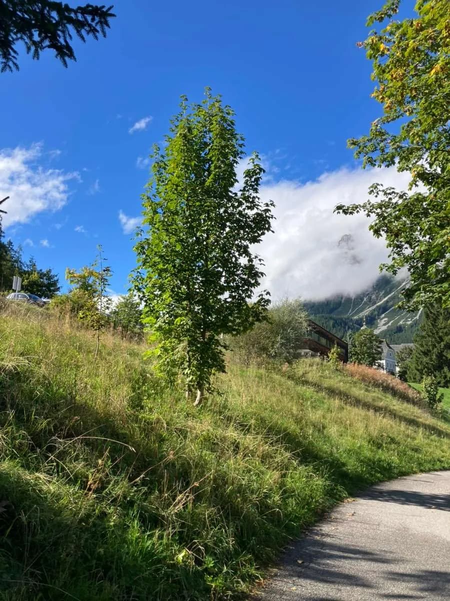 Grundstück kaufen in Liezen – 840 m², € 350.000 – Bild 3 von 7