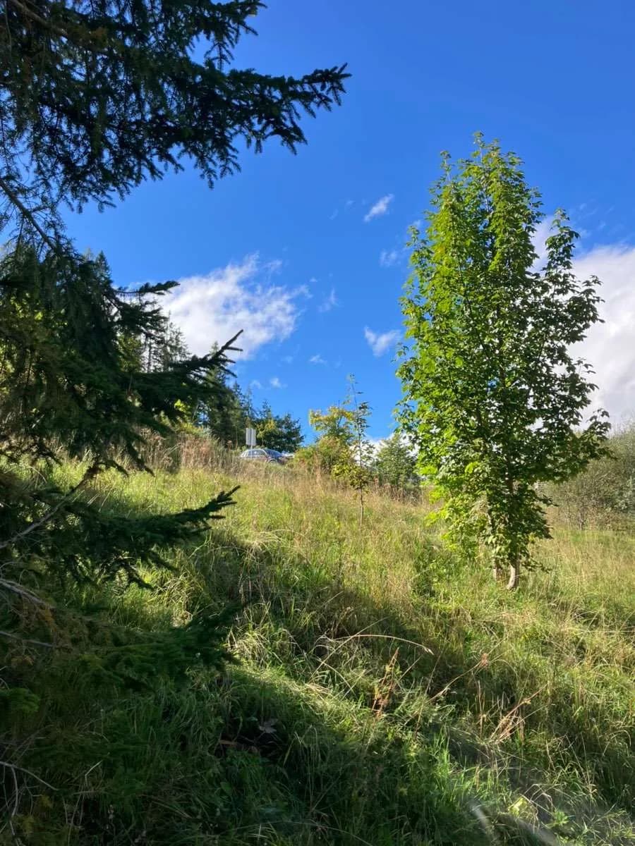 Grundstück kaufen in Liezen – 840 m², € 350.000 – Bild 4 von 7
