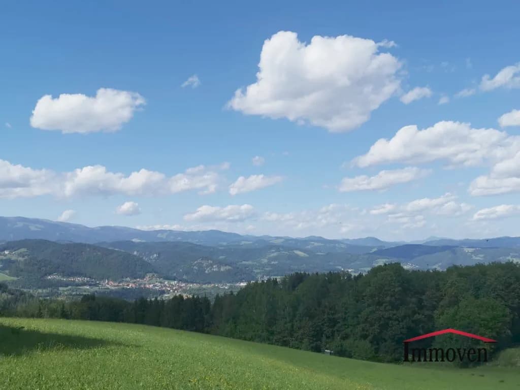 Haus kaufen in Voitsberg – 370 m², € 500.000