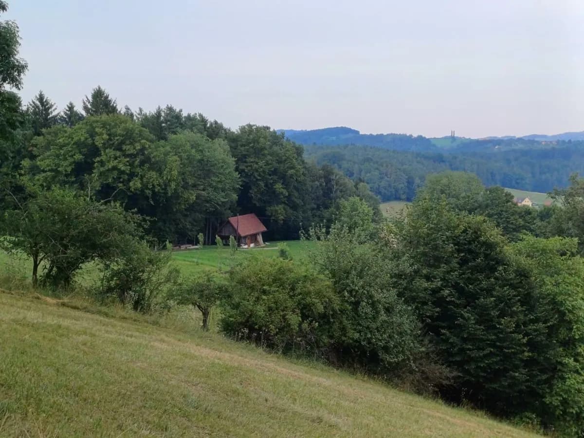 Grundstück kaufen in Leibnitz – 11 000 m², € 485.000 – Bild 2 von 4