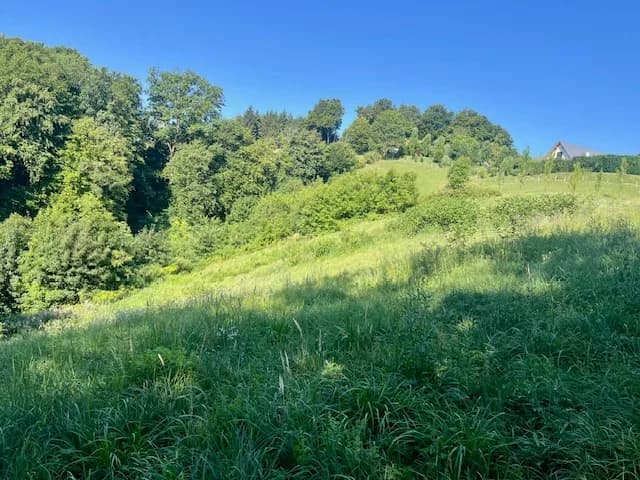 Grundstück kaufen in Leibnitz – 11 000 m², € 485.000 – Bild 5 von 17