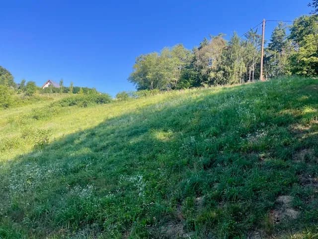 Grundstück kaufen in Leibnitz – 11 000 m², € 485.000 – Bild 6 von 17