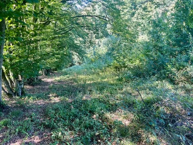 Grundstück kaufen in Leibnitz – 11 000 m², € 485.000 – Bild 10 von 17