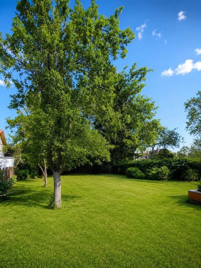 Grundstück kaufen in Wiener Neustadt Land – 934 m², € 239.000 – Bild 5 von 7