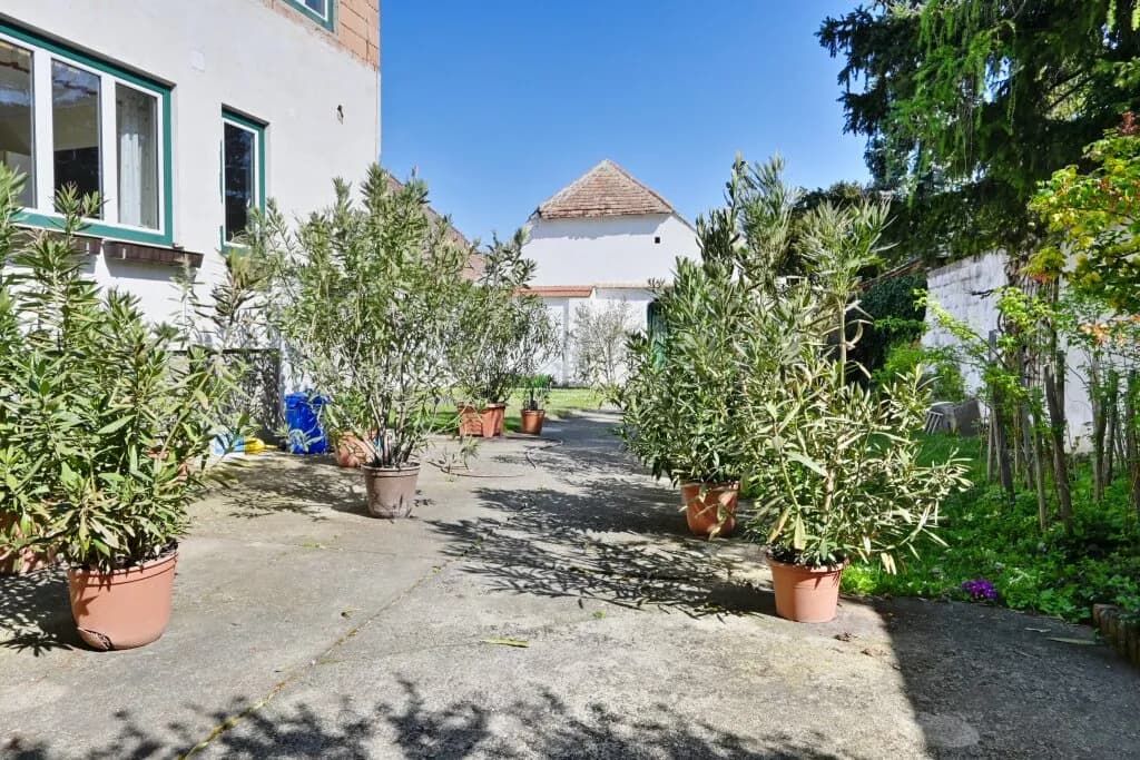 6-Zimmer-Gewerbeimmobilie kaufen in Hollabrunn – 220,2 m², € 249.000 – Bild 3 von 27