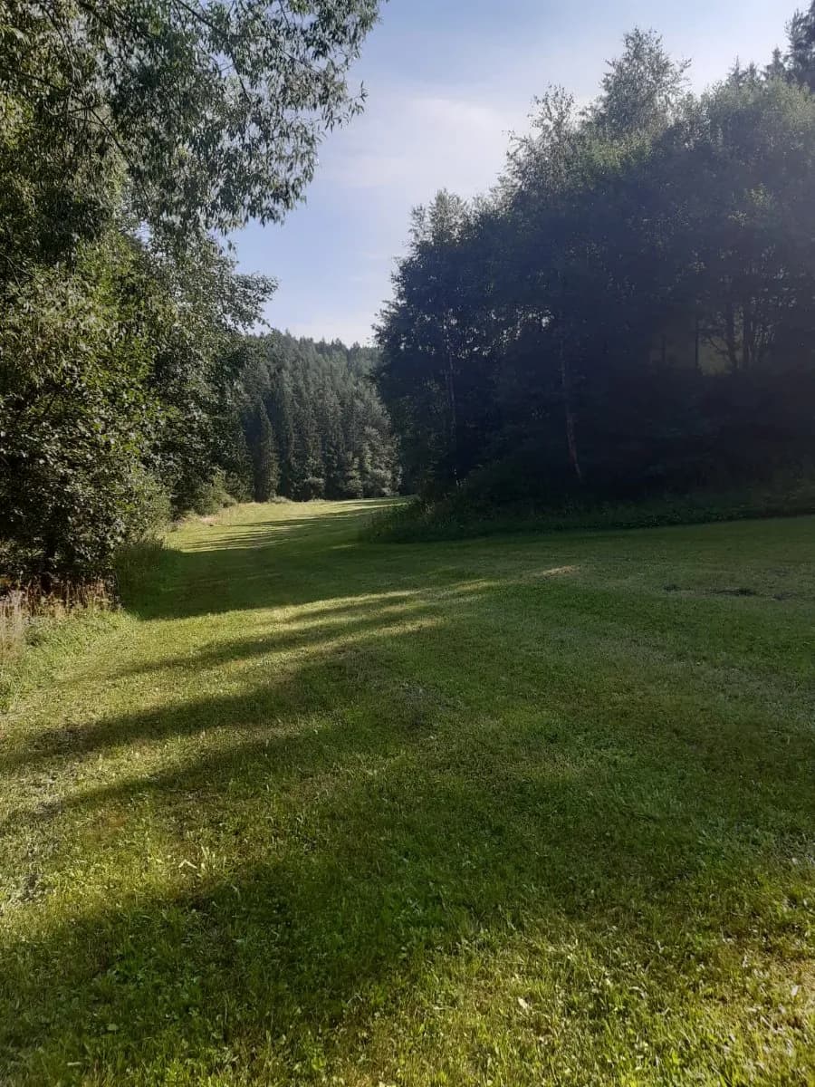 12-Zimmer-Immobilie kaufen in Zwettl – 230 m², € 275.000 – Bild 7 von 11