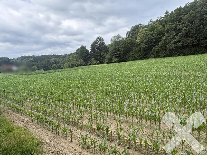 Grundstück kaufen in Hartberg-Fürstenfeld – 901 m², € 54.060 – Bild 2 von 4