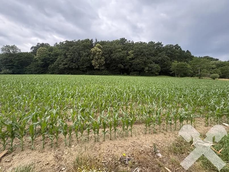 Grundstück kaufen in Hartberg-Fürstenfeld – 901 m², € 54.060 – Bild 3 von 4