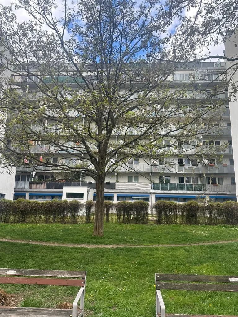 3-Zimmer-Wohnung kaufen in Wien – 73,15 m², € 299.000 – Bild 12 von 12