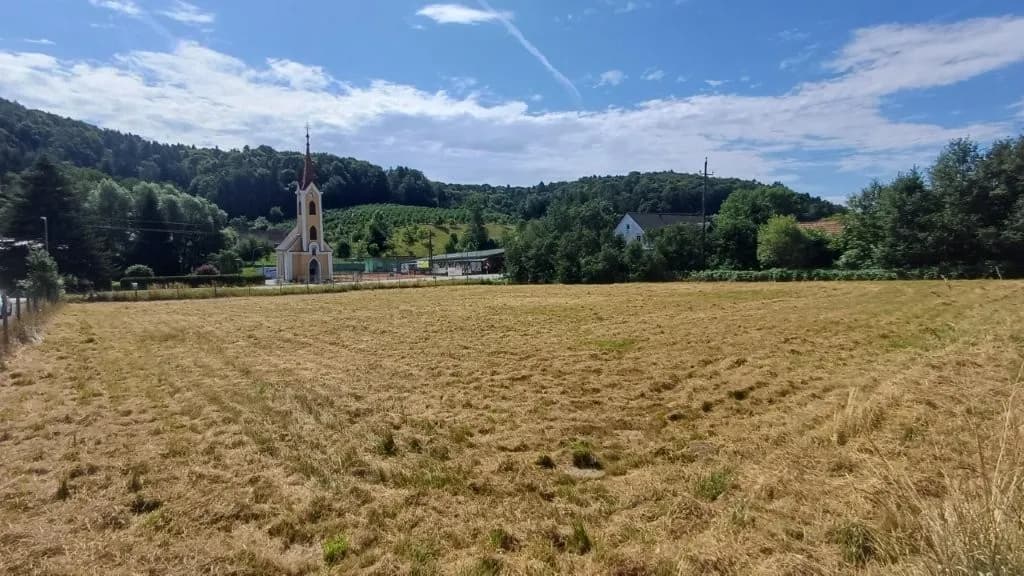 Grundstück kaufen in Südoststeiermark – 3 000 m², € 115.000 – Bild 2 von 2