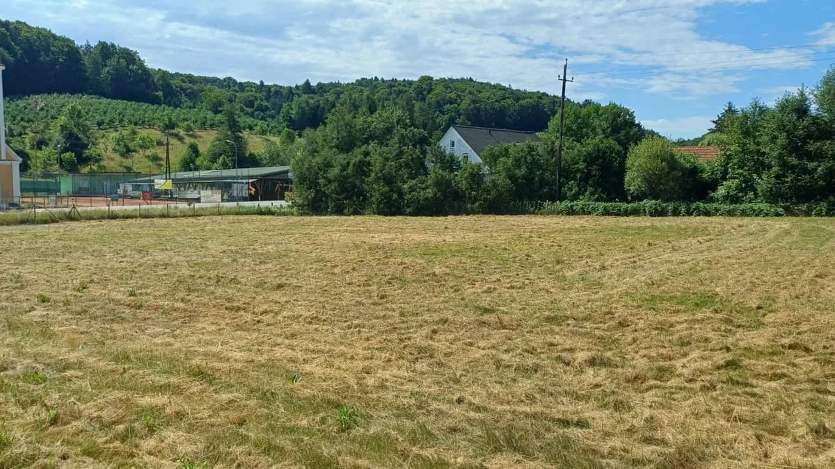 Grundstück kaufen in Südoststeiermark – 3 000 m², € 123.690 – Bild 3 von 6
