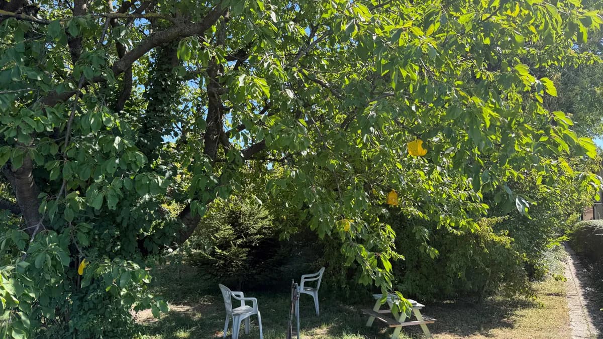 Immobilie kaufen in Wien – 407 m², € 299.900 – Bild 2 von 5