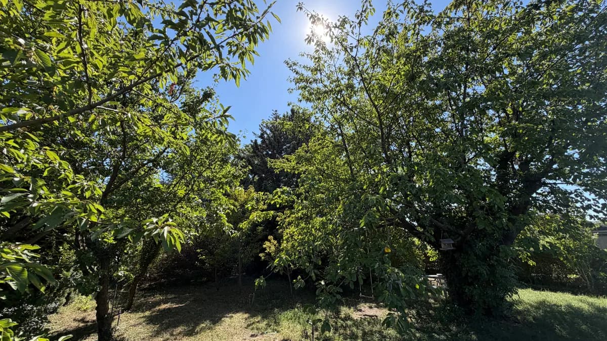 Immobilie kaufen in Wien – 407 m², € 299.900 – Bild 3 von 5