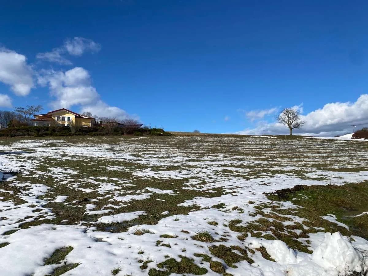 Grundstück kaufen in Jennersdorf – 3 294 m², € 170.000 – Bild 5 von 18