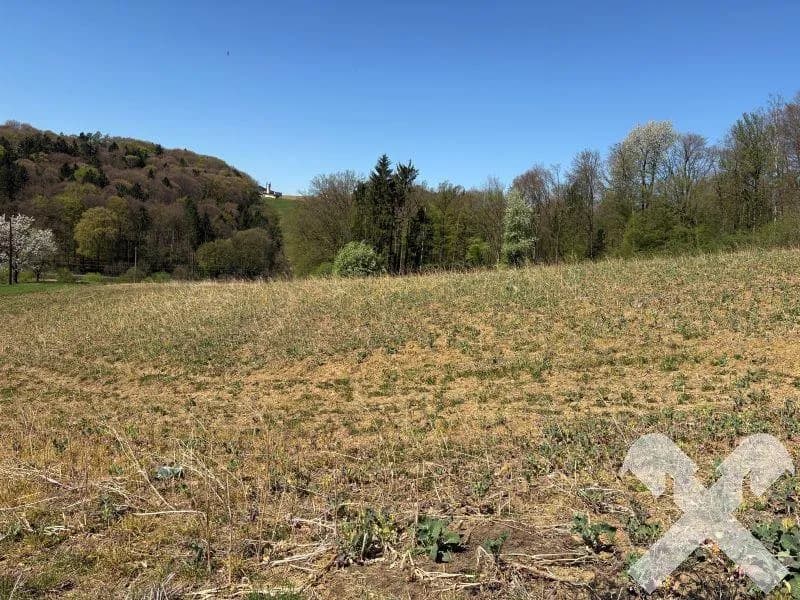 Grundstück kaufen in Südoststeiermark – 22 096 m², € 110.480