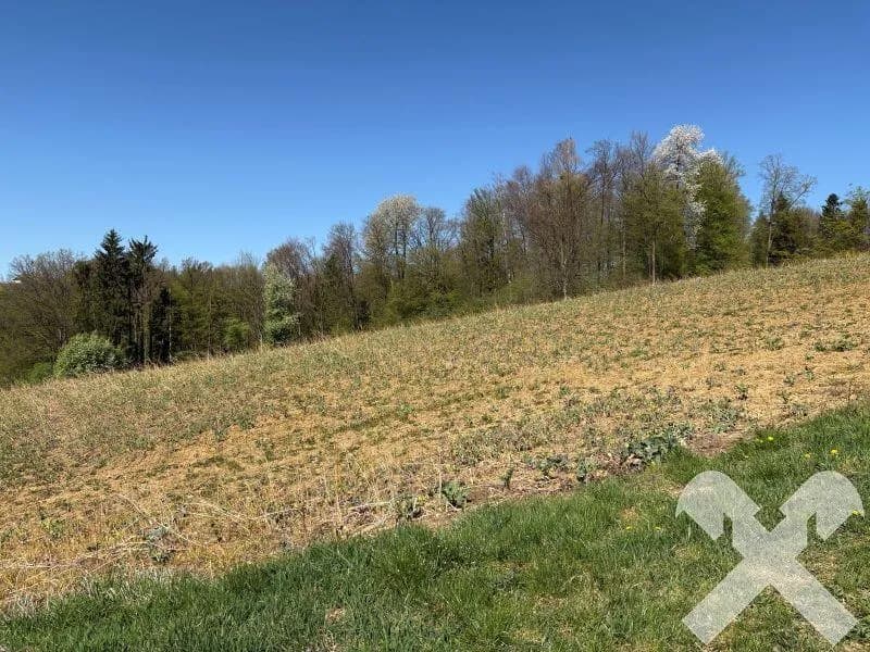 Grundstück kaufen in Südoststeiermark – 22 096 m², € 110.480 – Bild 2 von 4