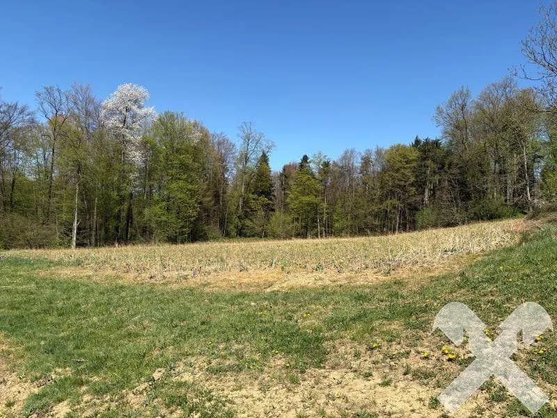 Grundstück kaufen in Südoststeiermark – 22 096 m², € 110.480 – Bild 3 von 4