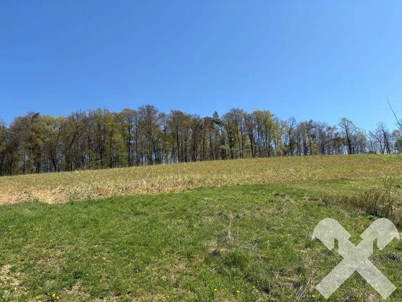 Grundstück kaufen in Südoststeiermark – 22 096 m², € 110.480 – Bild 4 von 4
