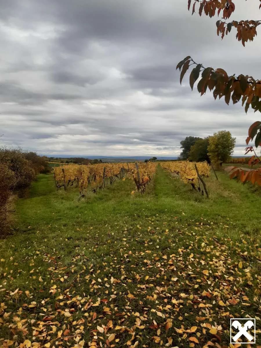 Grundstück kaufen in Krems Land – 9 483 m², € 47.415 – Bild 2 von 5