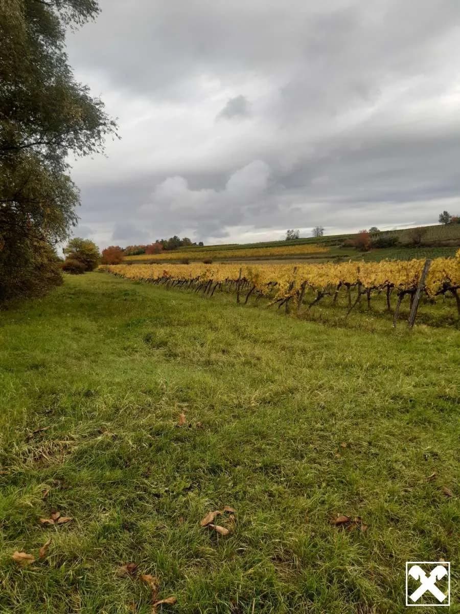 Grundstück kaufen in Krems Land – 9 483 m², € 47.415 – Bild 3 von 5