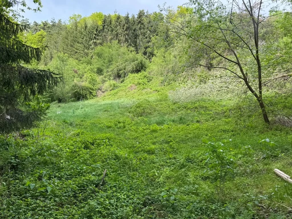 8-Zimmer-Haus kaufen in Weiz – 350 m², € 429.000 – Bild 8 von 8
