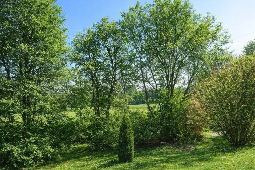 3-Zimmer-Wohnung kaufen in Baden – 71 m², € 234.000 – Bild 4 von 6