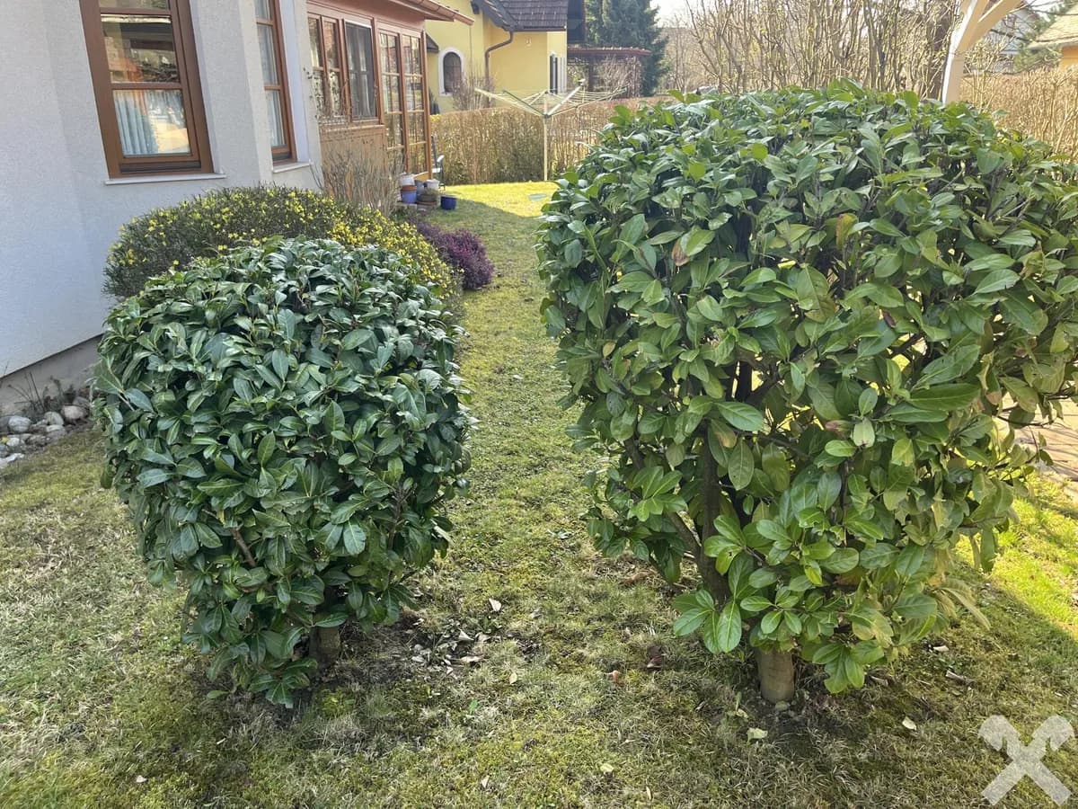 6-Zimmer-Haus kaufen in Südoststeiermark – 90 m², € 369.000 – Bild 4 von 30