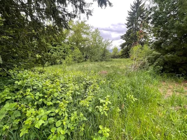 Gewerbeimmobilie kaufen in Murtal – 1 000 m², € 495.000 – Bild 8 von 15