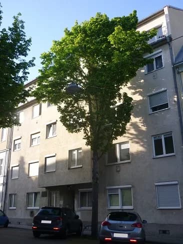 2-Zimmer-Wohnung mieten in Wien – 50 m², € 698