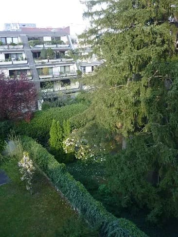 2-Zimmer-Wohnung mieten in Wien – 50 m², € 698 – Bild 8 von 22