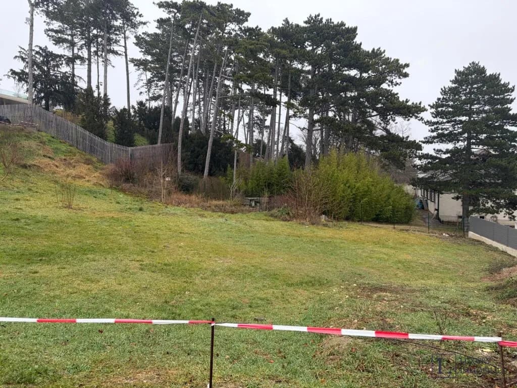 Grundstück kaufen in Mödling – 1 100 m², € 1.499.000 – Bild 7 von 20