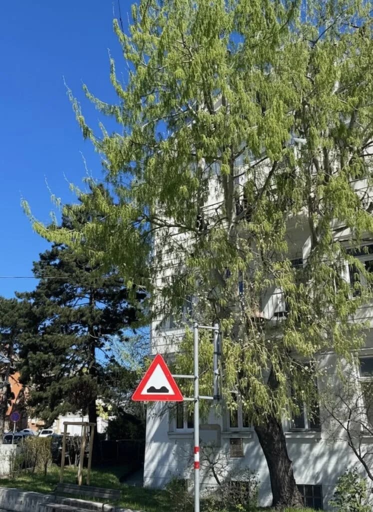 2-Zimmer-Wohnung kaufen in Wien – 64,2 m², € 389.000 – Bild 15 von 18