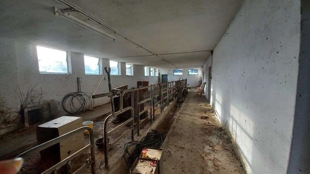 4-Zimmer-Immobilie kaufen in Jennersdorf – 120 m², € 249.000 – Bild 33 von 39