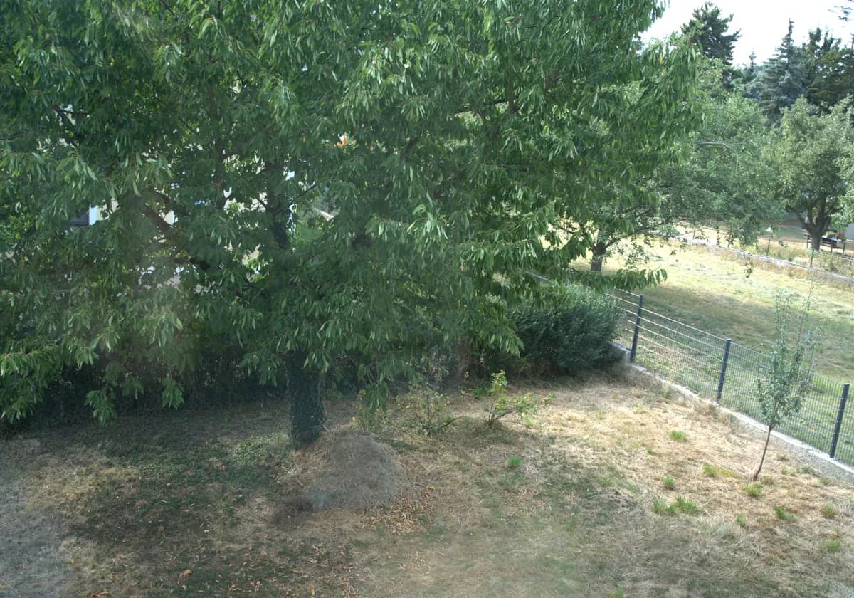 5-Zimmer-Haus kaufen in Sankt Pölten Land – 149 m², € 242.000 – Bild 37 von 37