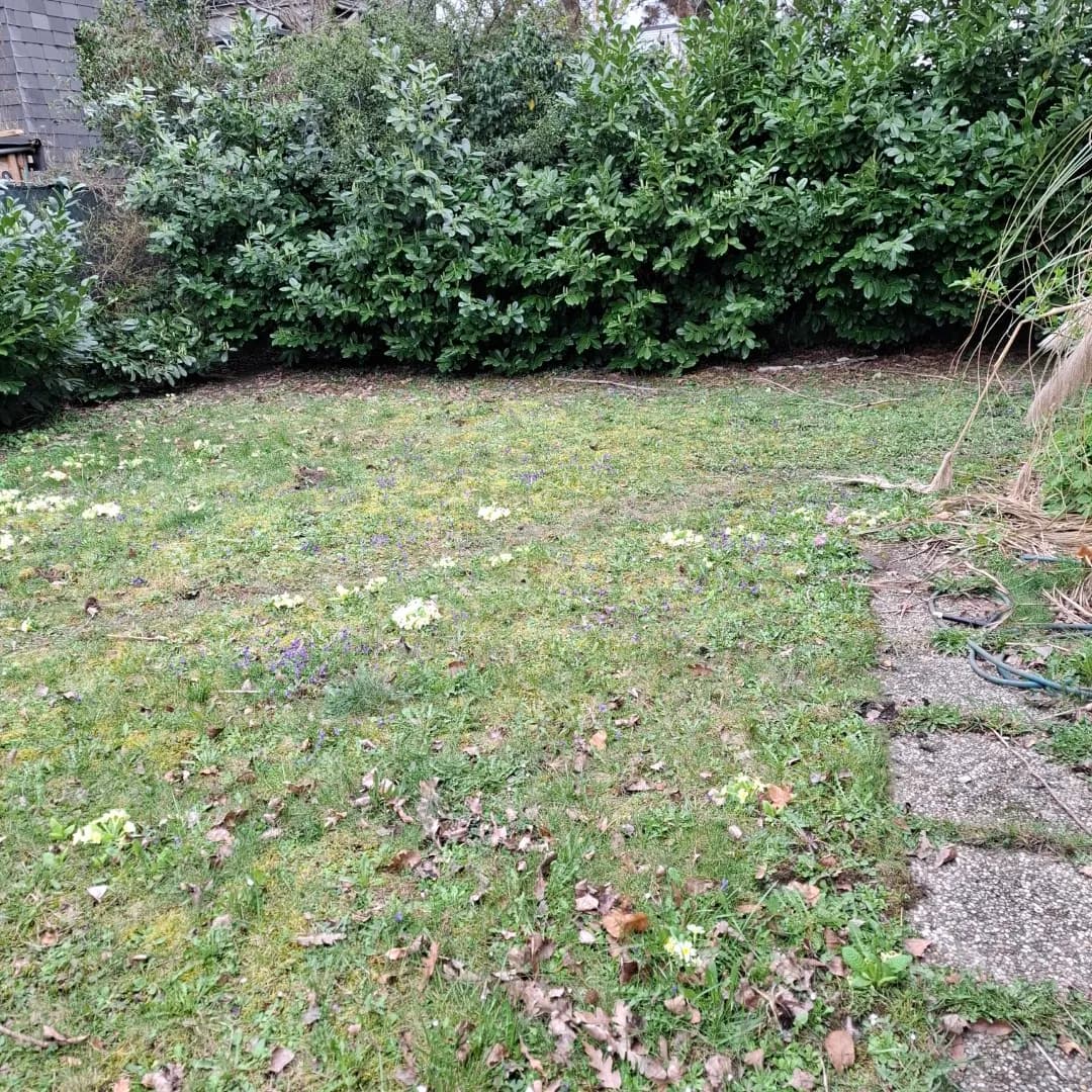 7-Zimmer-Haus kaufen in Wien – 200 m², € 999.000 – Bild 23 von 23