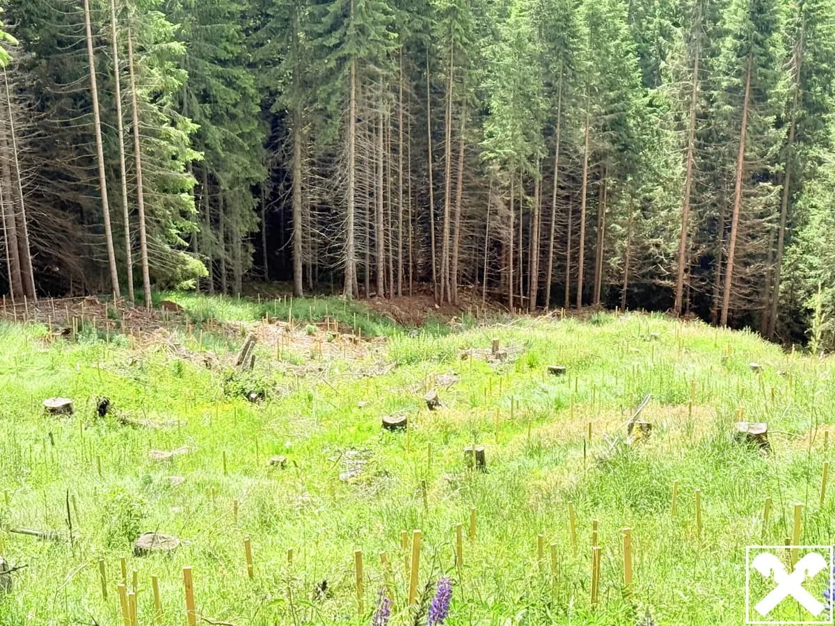 Grundstück kaufen in Spittal an der Drau – 34 977 m², € 86.000 – Bild 2 von 2
