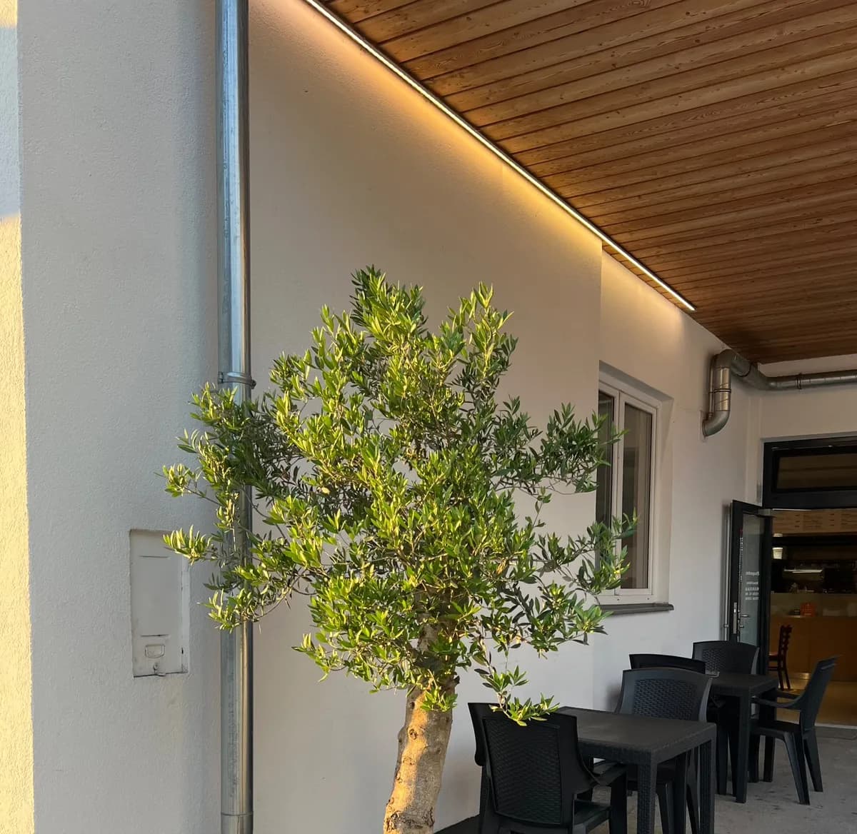 Gewerbeimmobilie kaufen in Hallein – 85 m², € 79.000 – Bild 6 von 7