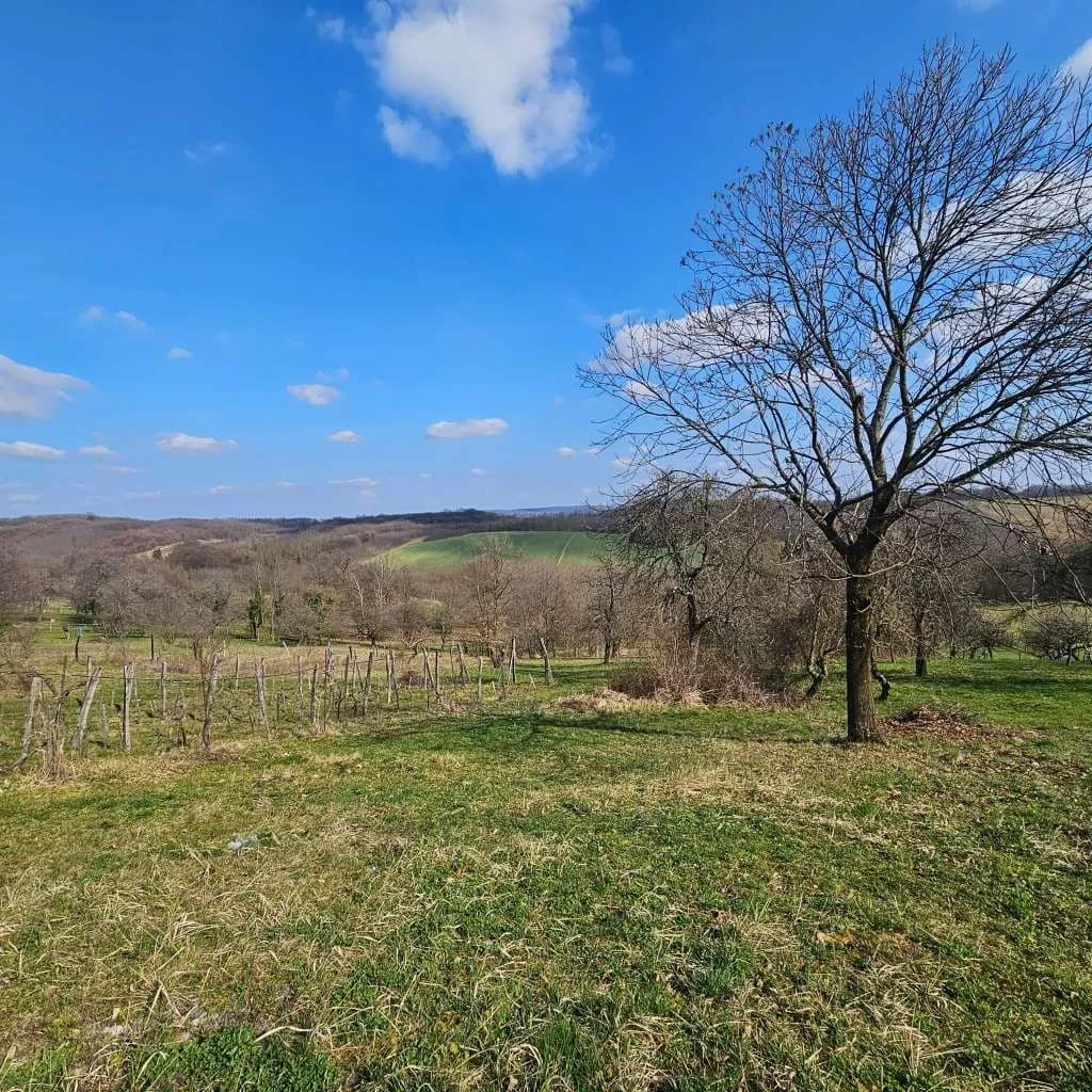 3-Zimmer-Haus kaufen in Österreich – 66 m², € 157.000 – Bild 21 von 24