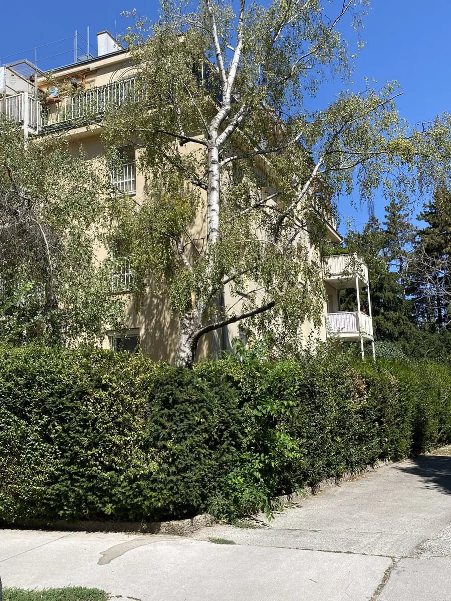 3-Zimmer-Wohnung mieten in Wien – 70 m², € 1.585 – Bild 16 von 19