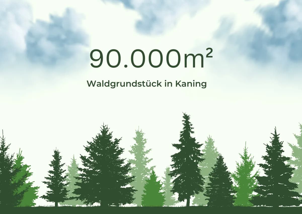 Grundstück kaufen in Spittal an der Drau – 90 000 m², € 195.000 – Bild 2 von 2