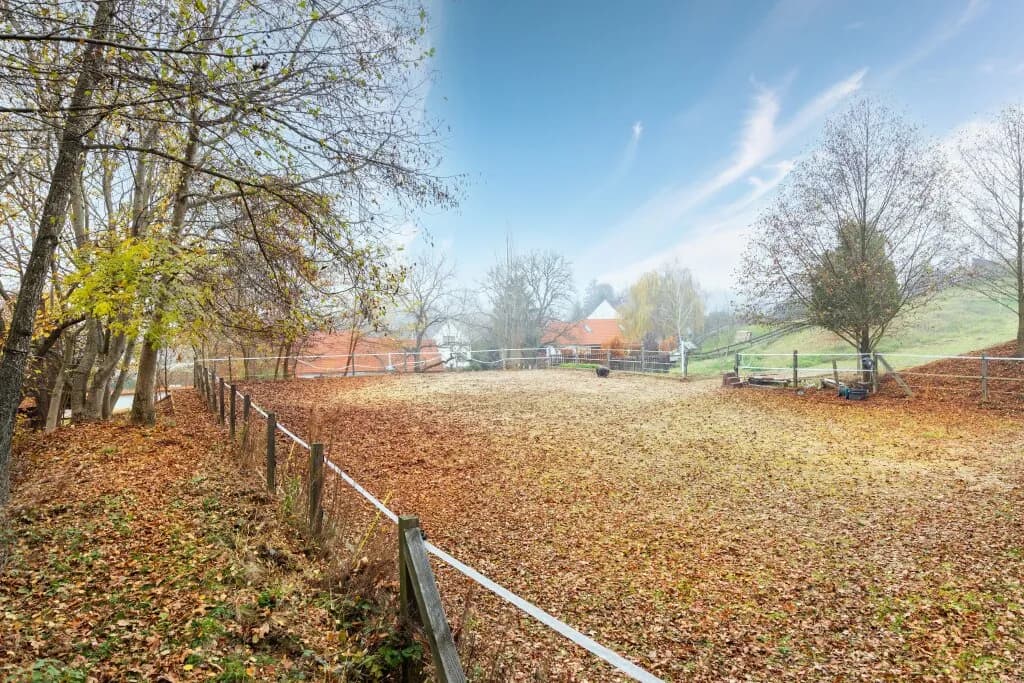 9-Zimmer-Immobilie kaufen in Güssing – 350 m², € 999.000 – Bild 45 von 60