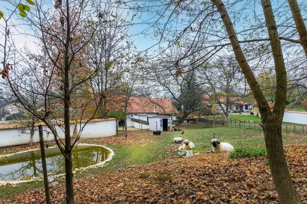 9-Zimmer-Immobilie kaufen in Güssing – 350 m², € 999.000 – Bild 46 von 60