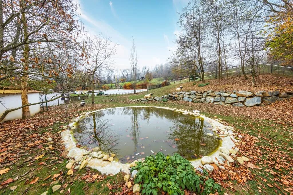 9-Zimmer-Immobilie kaufen in Güssing – 350 m², € 999.000 – Bild 47 von 60