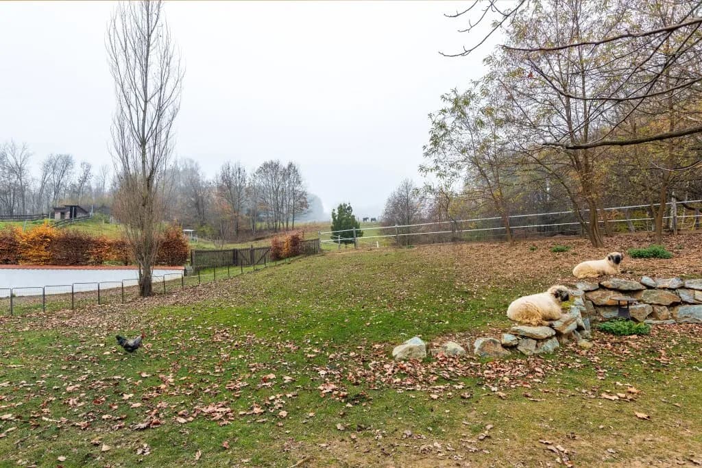 9-Zimmer-Immobilie kaufen in Güssing – 350 m², € 999.000 – Bild 48 von 60